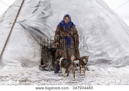 Far North, Tundra, A Girl-helper Of The Reindeer Herder, A Girl In National Clothes Stands Near A Yu