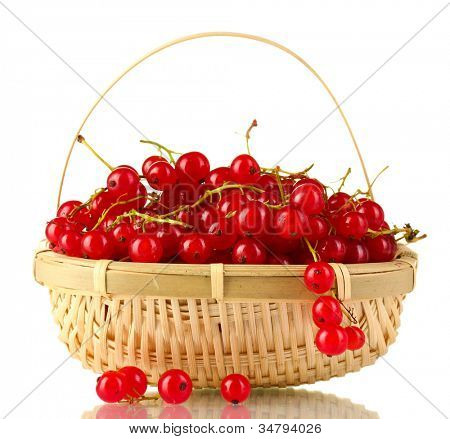redcurrants ในตะกร้าแยกต่างหากบนพื้นสีขาว