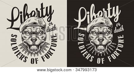 Vintage Military Monochrome Emblem With Bullets And Angry Pitbull Head In Navy Seal Beret Isolated V