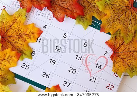 Love Day Concept. Calendar To Remain Valentine's Day With Maple Leaf Background.valentine Day, Febru