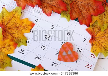 Love Day Concept. Calendar To Remain Valentine's Day With Maple Leaf Background.valentine Day, Febru