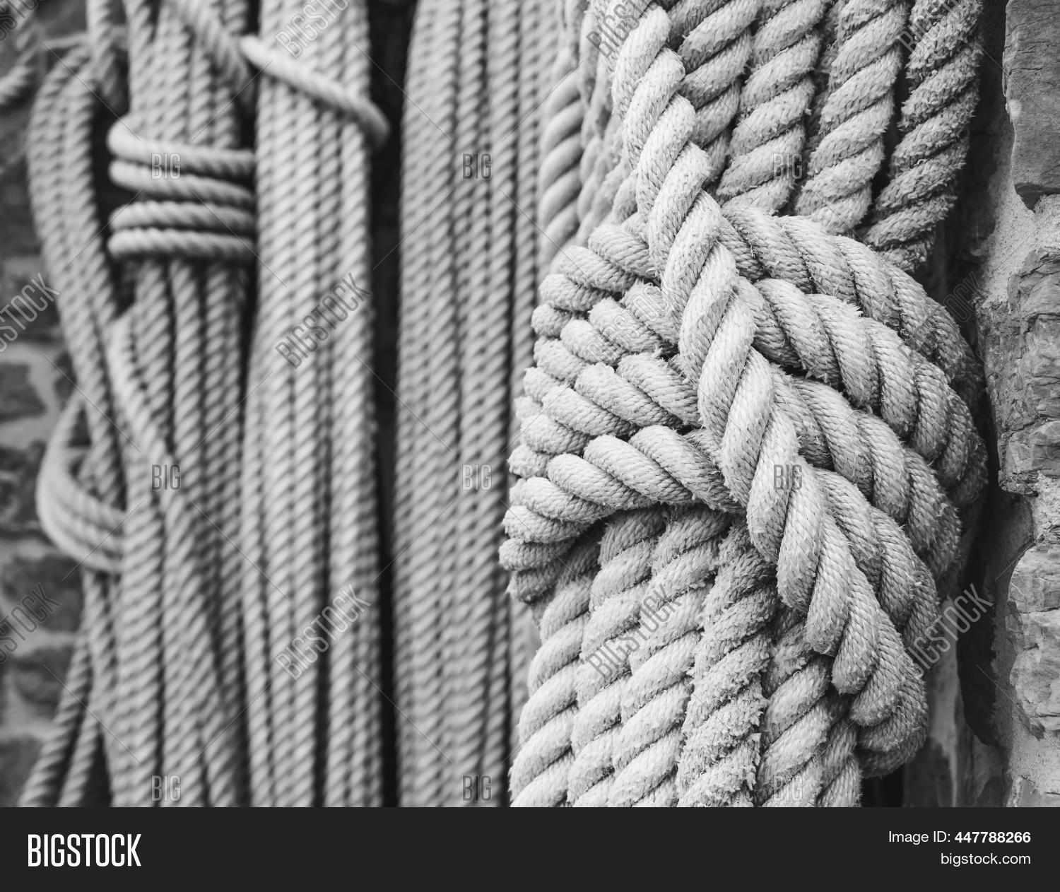 Large Rope Dangling Tied Rope Hangs Among Image & Photo (Free Trial) | Bigstock
