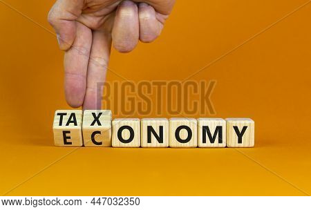 Taxonomy Or Economy Symbol. Businessman Turns Cubes, Changes The Word Economy To Taxonomy. Beautiful