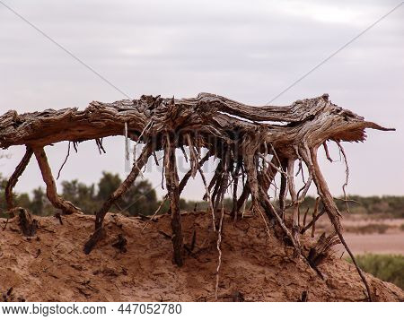 Close-up Of Broken And Grunge Texture Of The Arid Floor