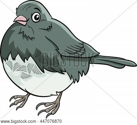 Cartoon Illustration Of Funny Junco Bird Animal Character