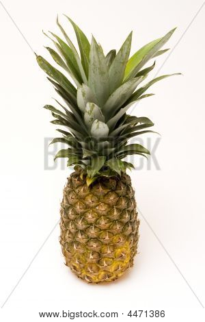 Ananas