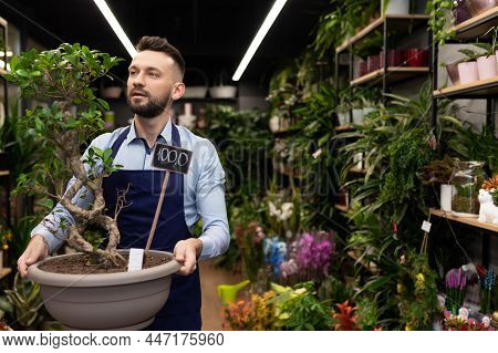 Florist Holding A Banzai In His Hands Against The Backdrop Of A Flower Shop