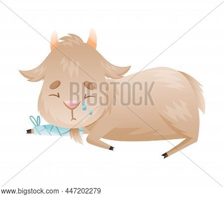 Sick Goatling Farm Animal. Sad Baby Animal With Bandage On Its Paw Cartoon Vector Illustration
