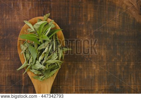 Stevia Rebaudiana Twig Into In Dry Stevia Leaves In A Wooden Spoon On A Wooden Background.stevioside