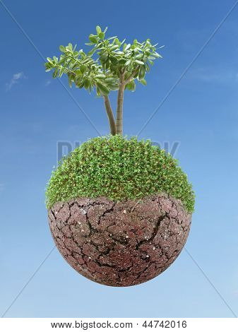 Jeden strom, který roste na malé planetě semi-green nad modrá obloha