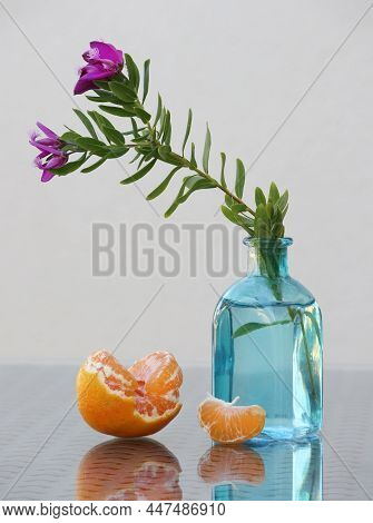 Still Life With Flowering Myrtle-leaf Milkwort Branch In The Small Botlle And Juicy Tangerine With A
