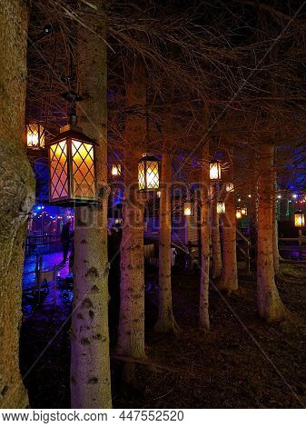 A Night Time View Of An Illuminated Area Of Woodland With Christmas Lights And Decorations In Dalkei