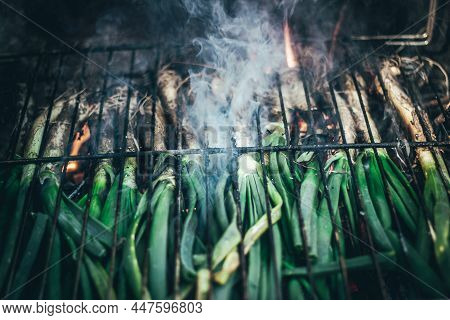 A Young Catalan Onion. 
