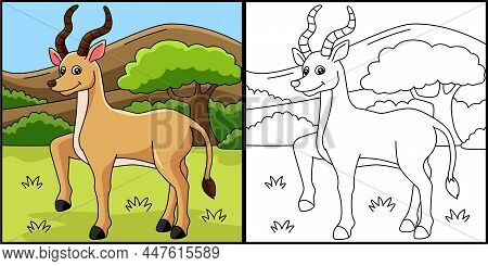 This Coloring Page Shows An Antelope. One Side Of This Vector Illustration Is Colored And Serves As 