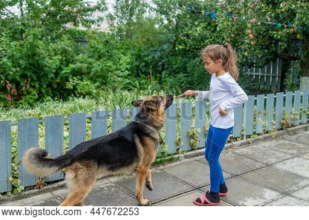 The Child Gives The Dog A Hand. Selective Focus.