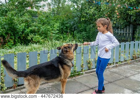 The Child Gives The Dog A Hand. Selective Focus.