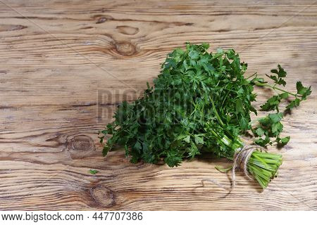 Parsley On Wooden Table Background. Fresh Raw Parsley Plant Top View. Parsley Indispensable Source O