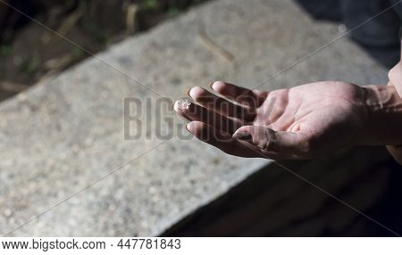 A Delicate Hand Holding A Delicate Flower