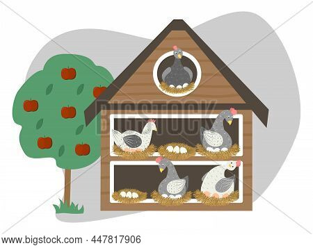 Chicken Coop Vector Illustration. Hens Incubate Eggs In Nests In Henhouse. Farming And Rearing Poult