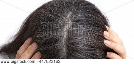 Young Woman Shows Gray Hair On Her Head On A White Background. Close Up Gray Hair Texture