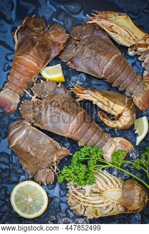 Raw Flathead Lobster Shrimps On Ice, Fresh Slipper Lobster Flathead For Cooking With Herbs And Spice