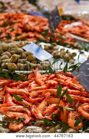 Shrimps at the market in Paris France
