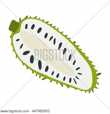 Isolated Vector Half Of Green Soursop With Seeds In Cartoon Style. Exotic Fruits Concept. Vegetarian
