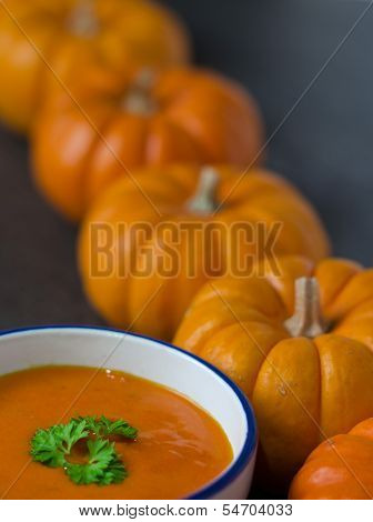 Pumnkin Soup And Row Of Pumkins