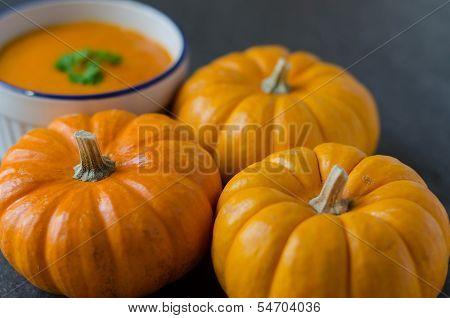 Pumnkin Soup And Row Of Pumkins