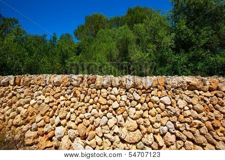 Menorca masonry stonewall Cala en Turqueta Ciutadella at Balearic Islands