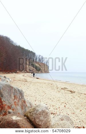 Autumn Cliff In Orlowo, Gdynia Poland
