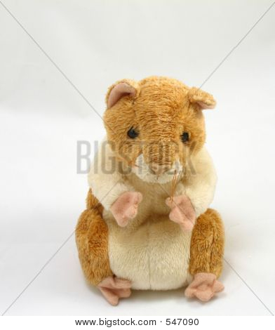 Hamster