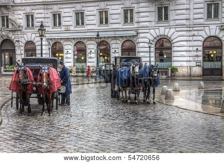 Fiacres Horse Cabs On The Street Of Vienna