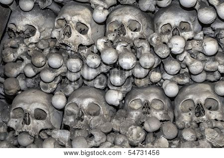 Human Bones.