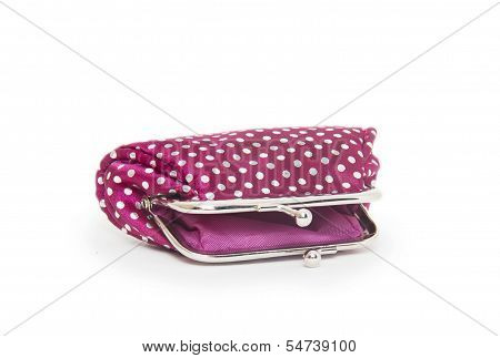 Change Purse Isolated On White Background