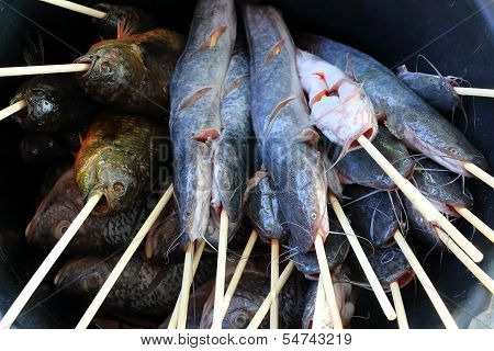 Fish For The Grill