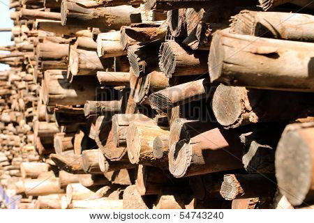 Logs Of Eucalyptus On A Pile