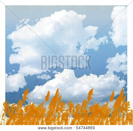 field