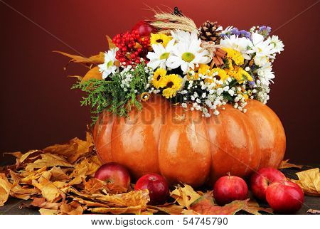 Beautiful autumn composition in pumpkin with apples on table on dark background