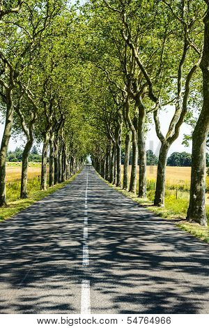 Road Near Carcassonne (france)