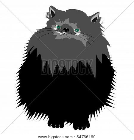 nice persian cat on white