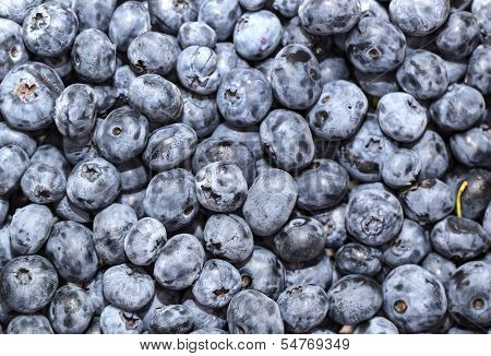 blueberry background