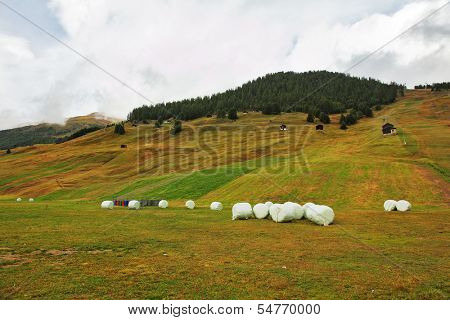 Accurately packed haystacks on charming mountain meadows. Switzerland, the Alpes