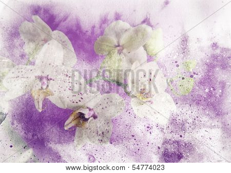 Abstract ink painting combined with orchid flowers on paper texture - floral grunge
