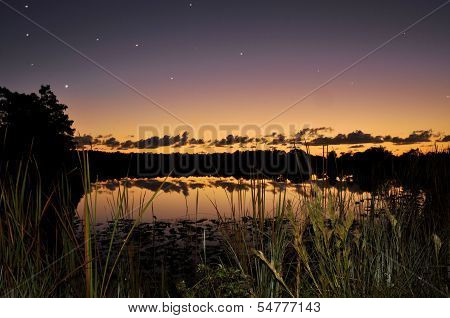 Stars on the Lox