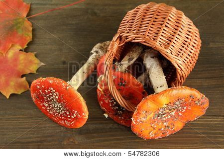 red amanitas in basket, on wooden background