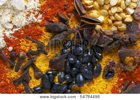 View of an assortment of spices and  ingredients used in indian and other asian cuisines.