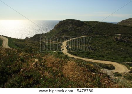 Path In The Bush In Corsica
