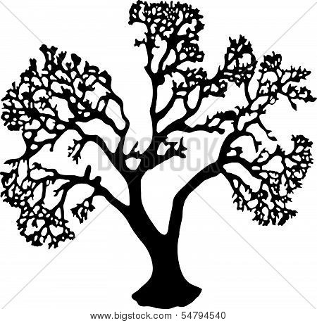 Tree Without Leaves