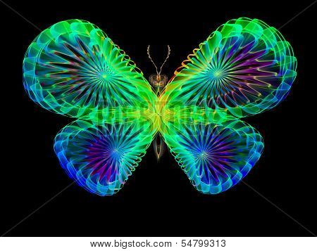 Butterfly Design